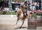 Pferd International 131